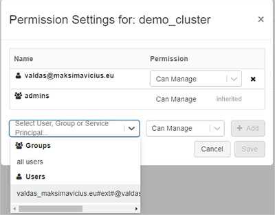 Databricks Cluser Permissions